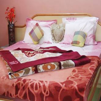 Sakina Cottage Manali, Manali 3